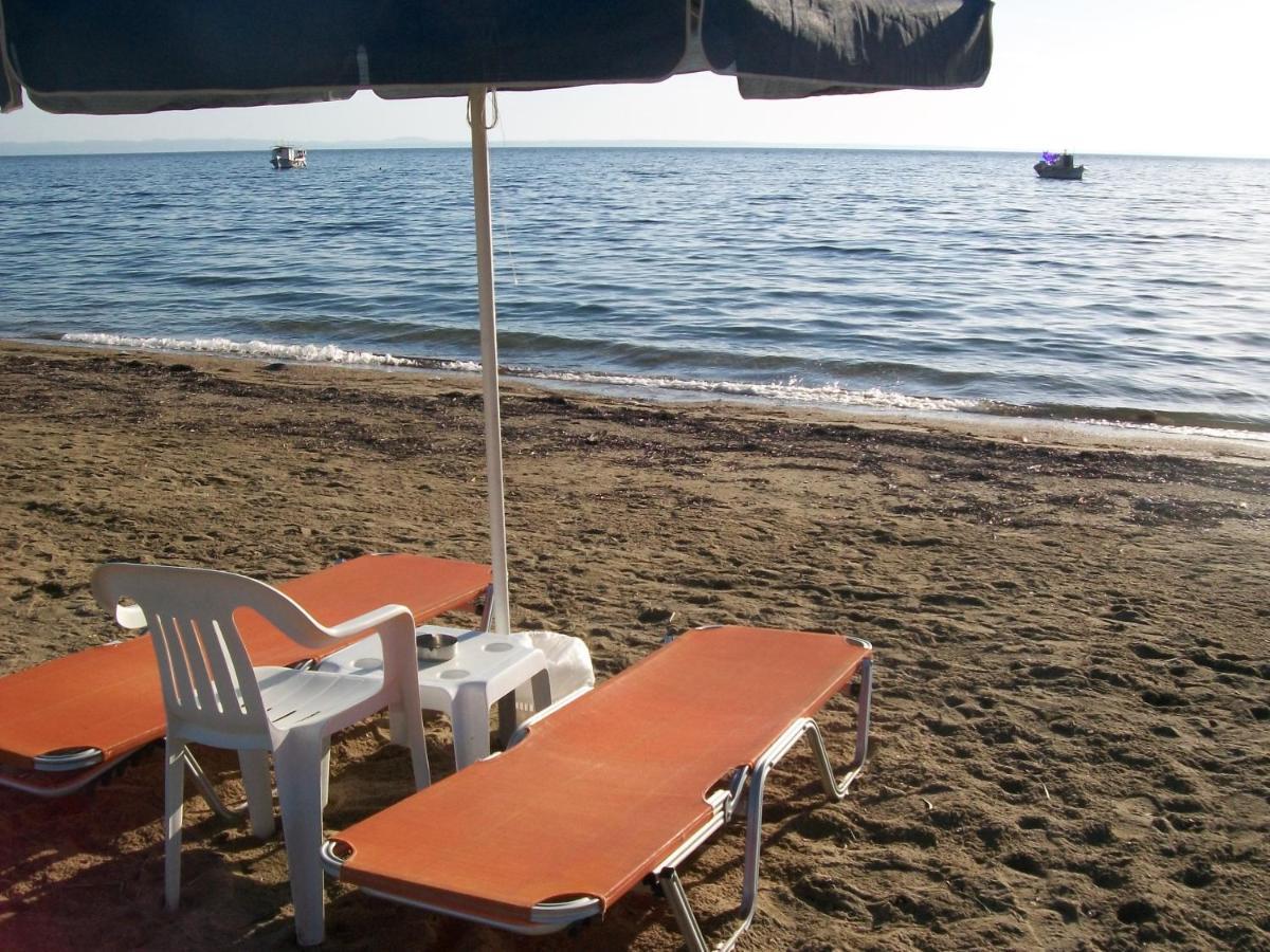 Paschalia Sea View Studios Psakoudia Zewnętrze zdjęcie
