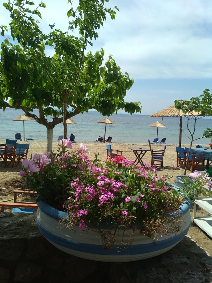 Paschalia Sea View Studios Psakoudia Zewnętrze zdjęcie